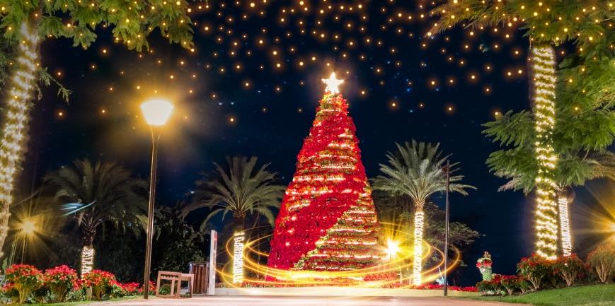 Jardines de México se une a la fiebre por las máginas luces de navidad..