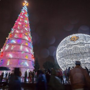 Vena disfruta del gran espectáculo que tenemos organizado para ti y toda tu familia, no te quedes sin verlo..