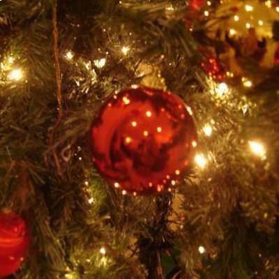 Feria del Árbol y la Esfera