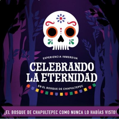 Celebrando la Eternidad en el Bosque de Chapultepe