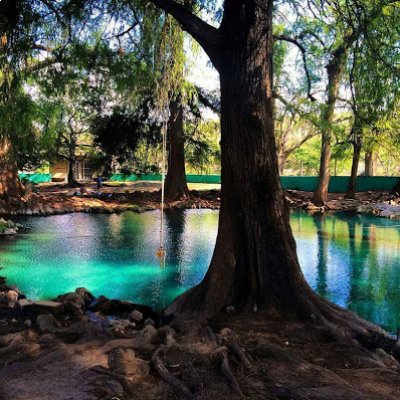 Balneario Natural los Ahuehuetes