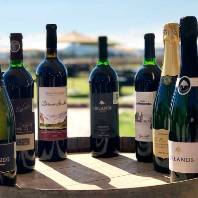 Festival 100 Vinos Mexicanos