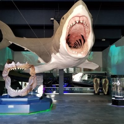 Museo de la Evolución