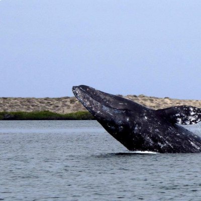 Pueblo Mágico Loreto
