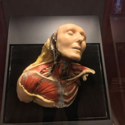 Museo Palacio de la Escuela de Medicina