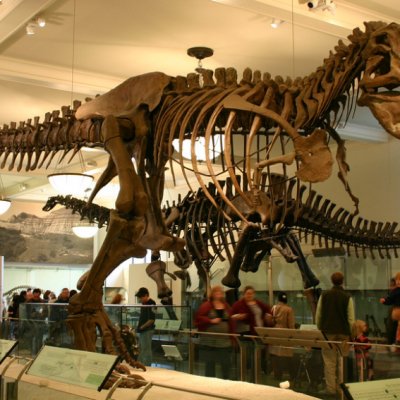 Museo de Historia Natural