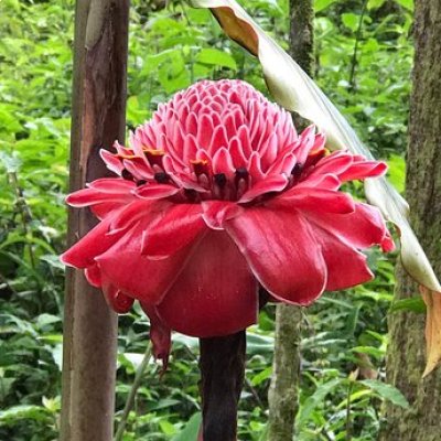 Jardín Botánico Xoxoctic