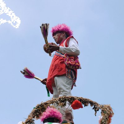 Voladores de Tamaletom