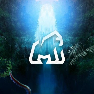 Festival Magic Jungle Pachuca