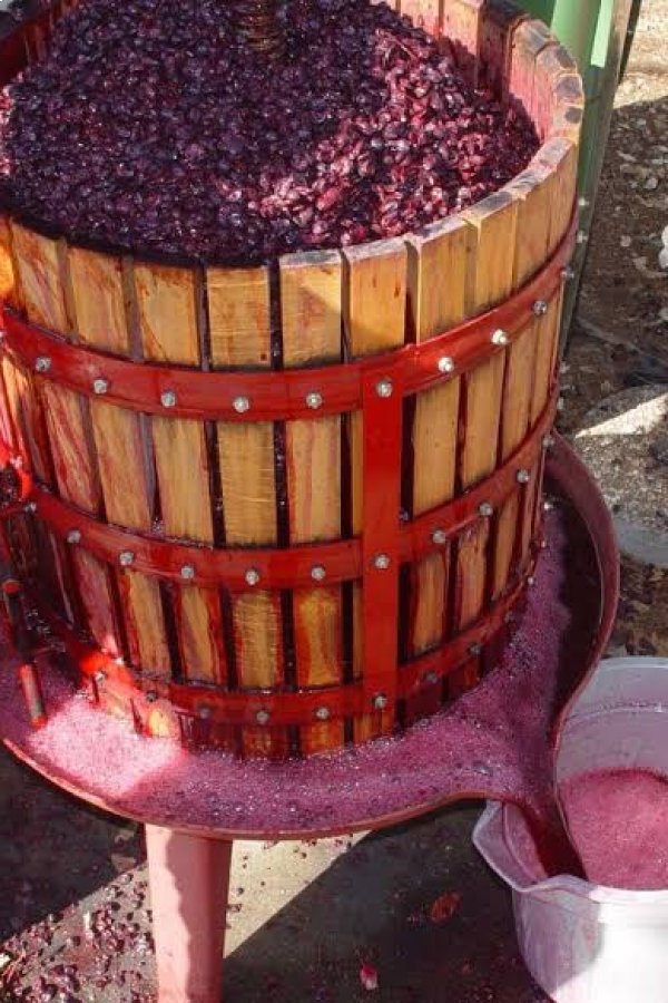 Beneficios del Vino Tinto