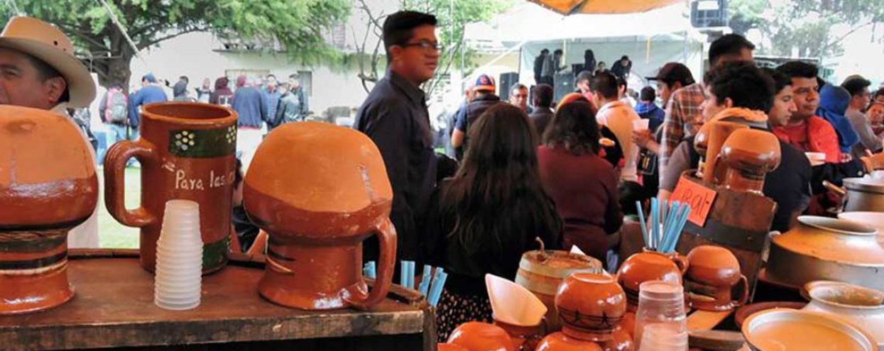 Día del Pulque en Tepeapulco