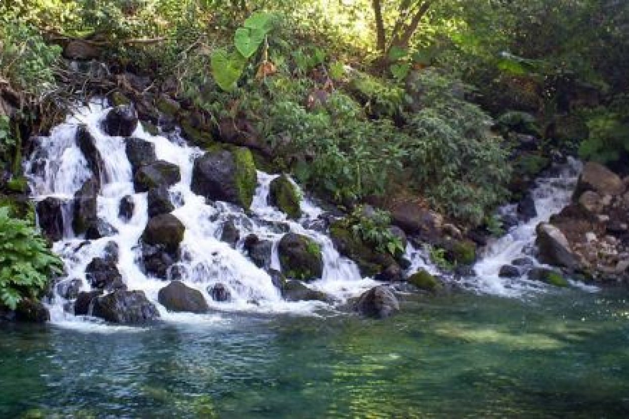 Balneario Ejidal El Bosque