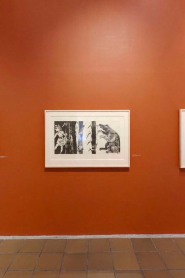 Museo Nacional de la Estampa