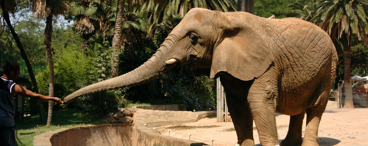 Zoológico de Chapultepec