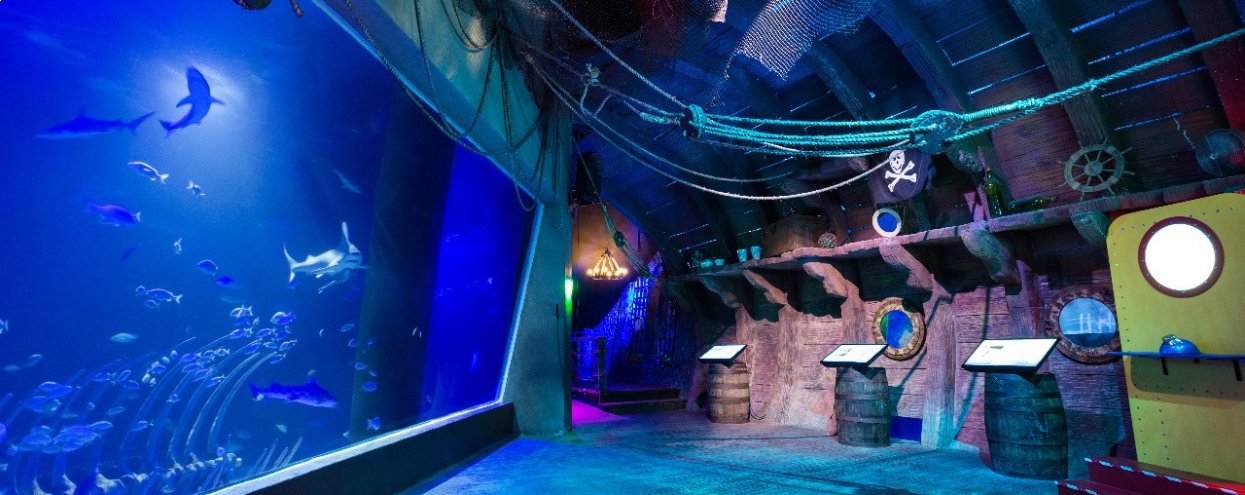 Acuario Inbursa