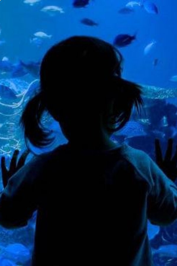 Acuario Inbursa