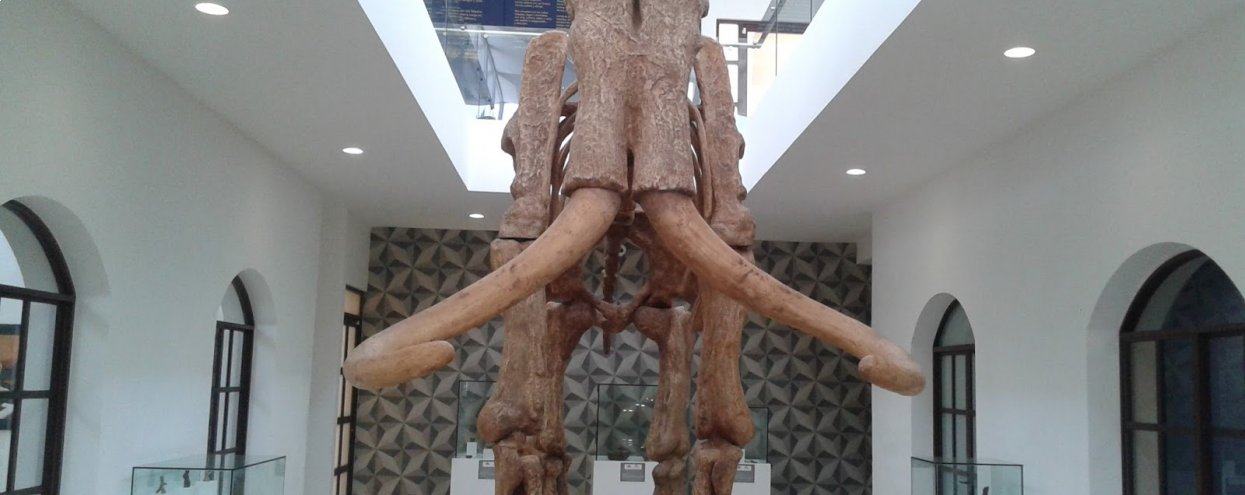 Zanbatha, Museo Valle de la Luna