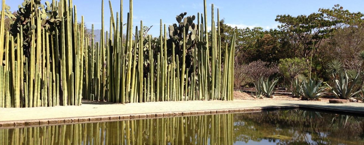 Jardín Etnobotánico Patio de Huaje