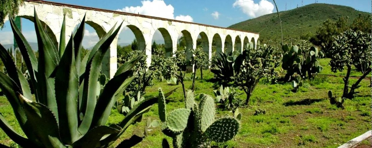 Parque Ecológico Cubitos