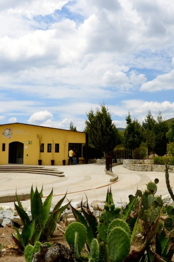 Parque Ecológico Cubitos