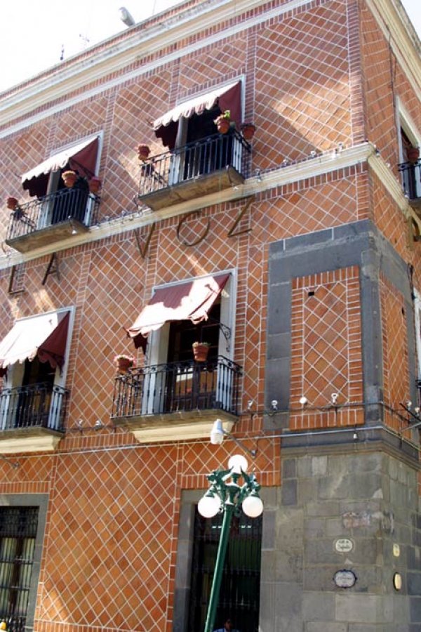 La Casa que mató el animal