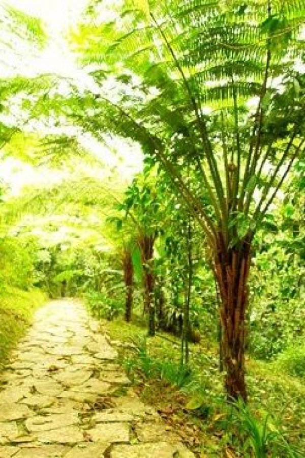Jardín Botánico Xoxoctic