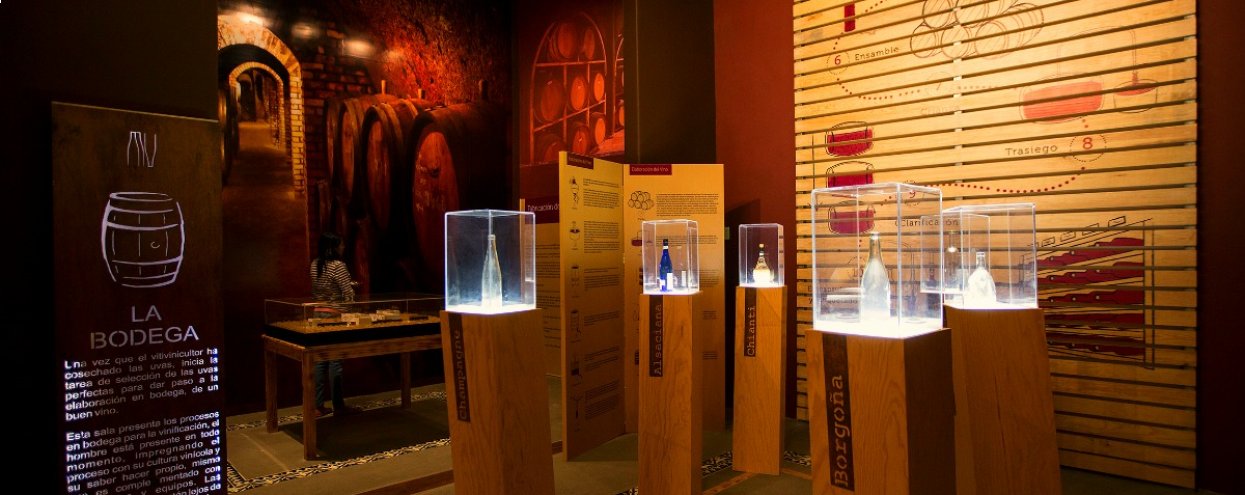 Museo del Vino