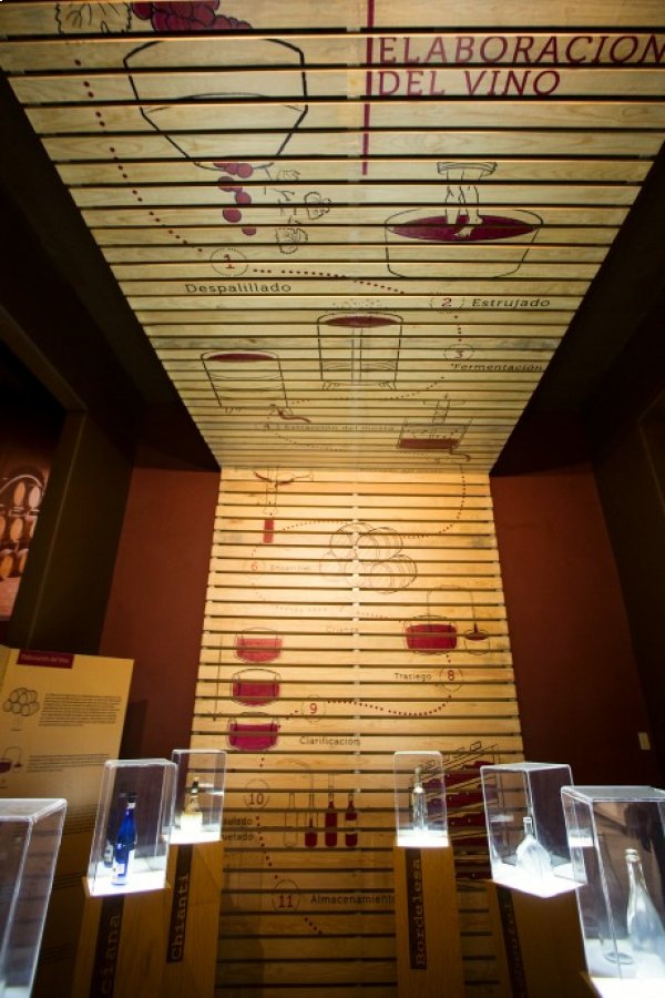Museo del Vino