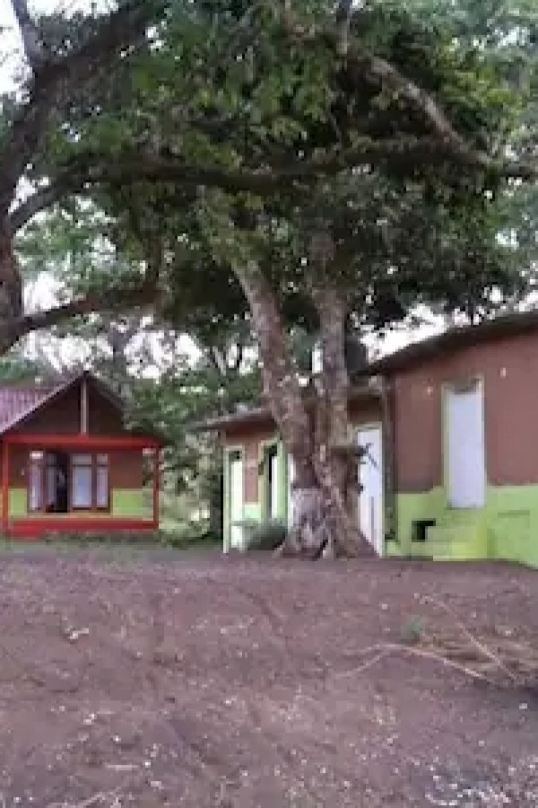 Centro Ecoturístico Las Margaritas